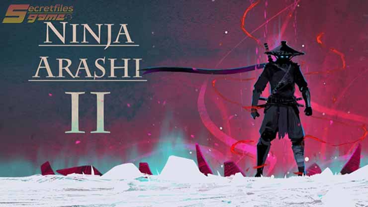 2. Ninja Arashi 2